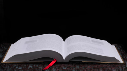 鉴宝专家马未都