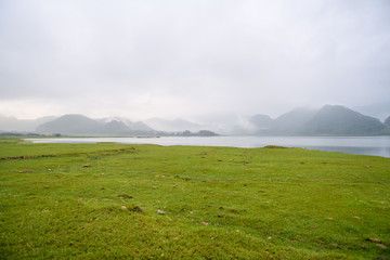 植树节从那年开始的