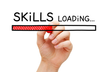 鉴宝专家马未都