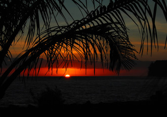 防灾减灾的内容怎么写 防灾减灾的内容有哪些