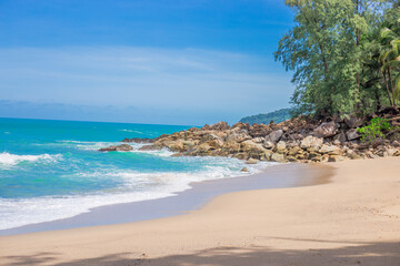 鉴宝专家马未都