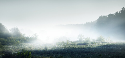 植树节从那年开始的