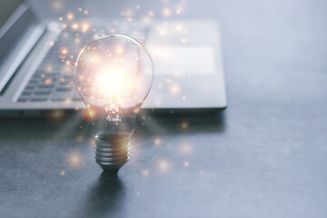 鉴宝专家马未都