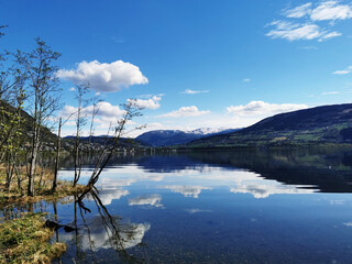 展望未来精辟短句