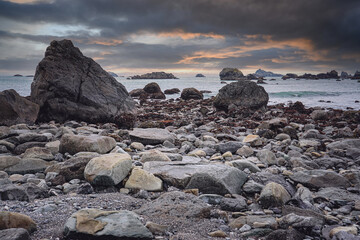 植树节从那年开始的