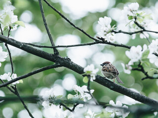 关于运动励志的心情说说句子有哪些