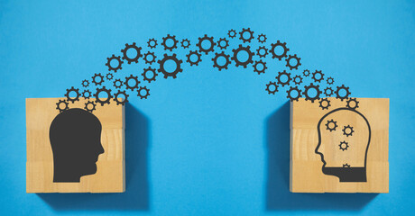 鉴宝专家马未都