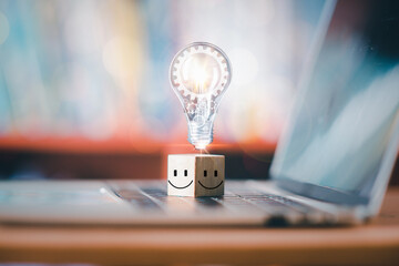 鉴宝专家马未都