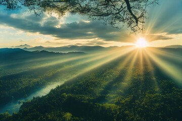 叶片一能进行光合作用着部位是（　　）A．只有表皮细胞B．只有叶肉细胞C．只有保卫细胞D．所有含叶绿体的