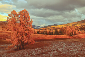 关于运动励志的心情说说句子有哪些