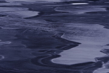 鉴宝专家马未都