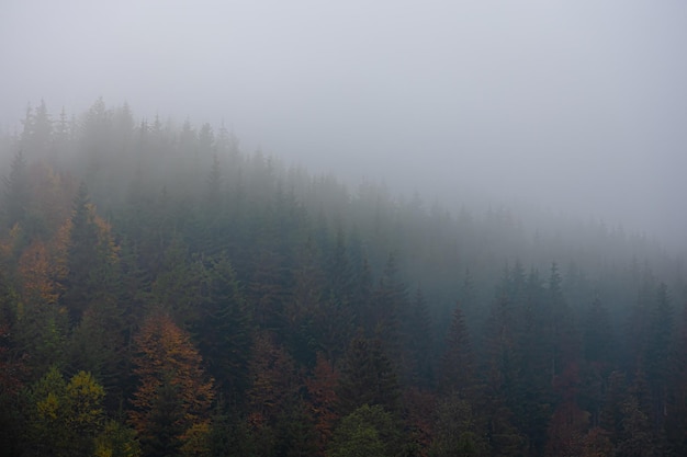 中国当代创新人物事迹