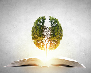 数学史上的趣闻小故事 数学历史小故事50字