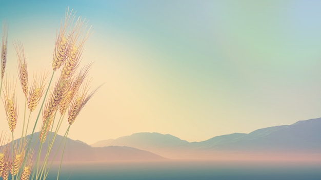 植树节从那年开始的