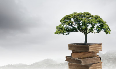 “你真是好样的”这句话是什么意思？