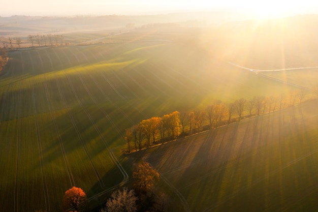 中国当代创新人物事迹