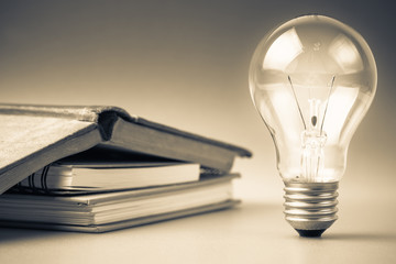 鉴宝专家马未都