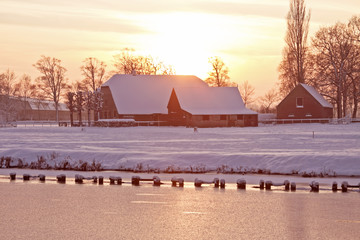 植树节从那年开始的