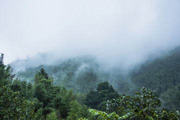 植物大战僵尸一共多少关 植物大战僵尸关卡介绍
